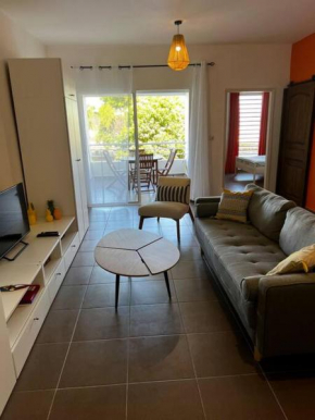Appartement T2 Hibiscus - 60 m2